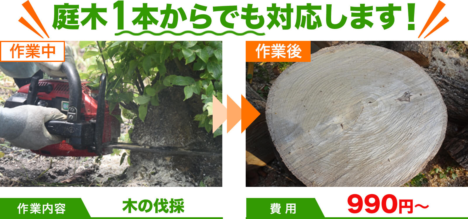 庭木1本からでも対応します!