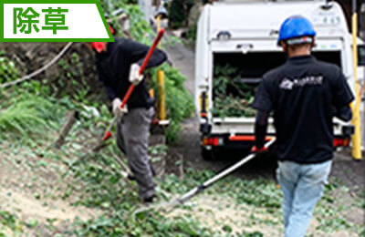除草