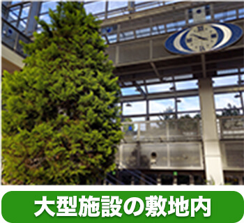 大型施設の敷地内