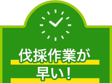 伐採作業が早い!