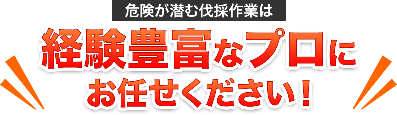 経験豊富なプロにお任せください!