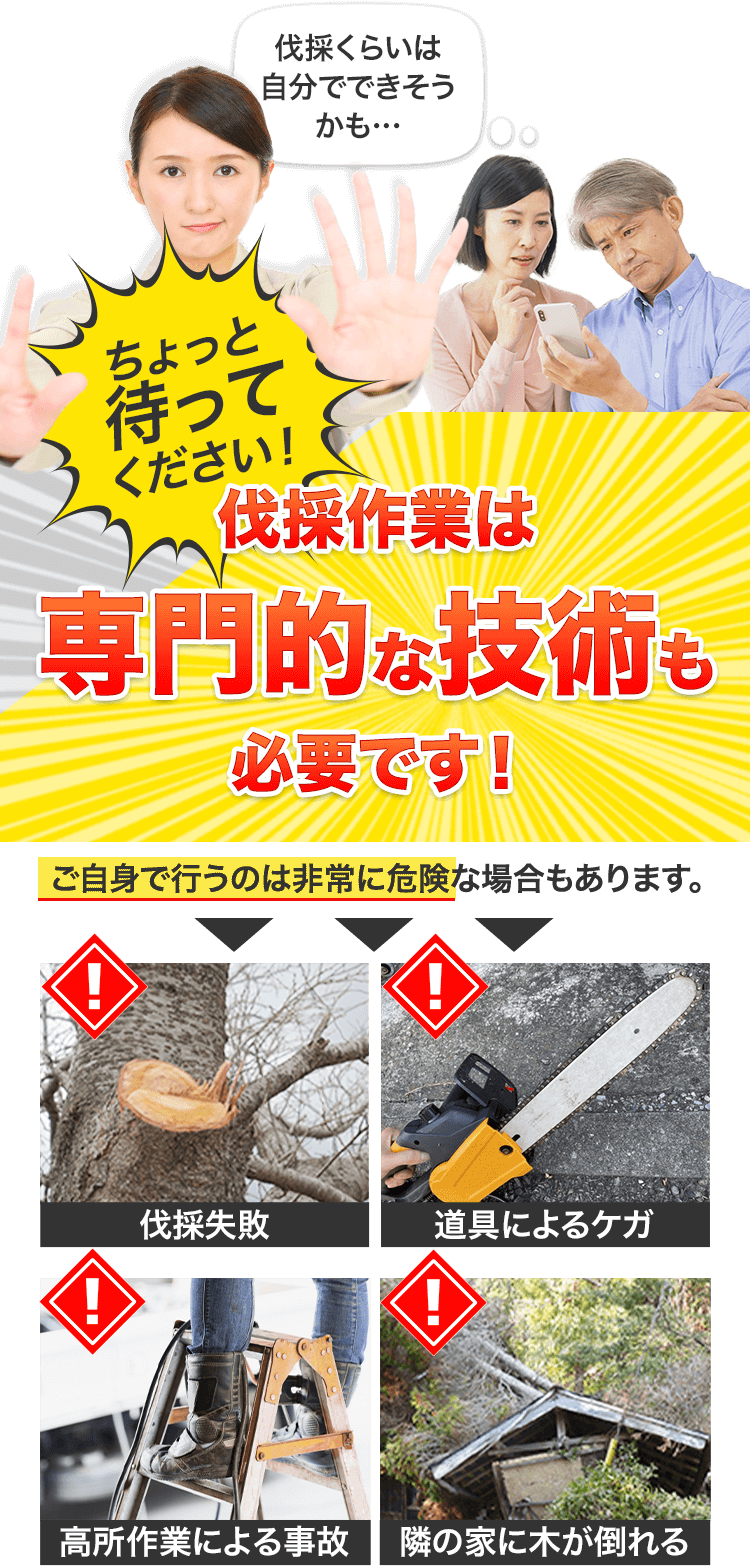 伐採作業は専門的な技術も必要です!ご自身で行うのおは非常に危険な場合もあります。